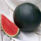 Giant Sweet Black Watermelon 20 PCS Seeds