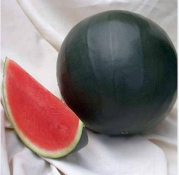 Giant Sweet Black Watermelon 20 PCS Seeds