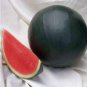Giant Sweet Black Watermelon 20 PCS Seeds