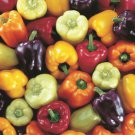 Giant Sweet Pepper Rose Red Black Yellow Whit 200 PCS Seeds Giant Sweet Pepper Rose Red Black Yellow Whit 200 PCS Seeds