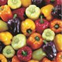 Giant Sweet Pepper Rose Red Black Yellow Whit 200 PCS Seeds