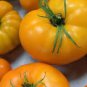 Giant Sweet Yellow Tomato 400 PCS Seeds