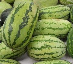 Giant Watermelon 'Iwanaga Giant' F1 10 PCS seeds