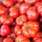 Gigantomo Tomato Giant Tomatoes 100 PCS Seeds