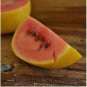 Golden Midget Small Watermelon yellow 10 PCS Seeds