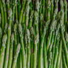 Green Asparagus 20 PCS Seeds