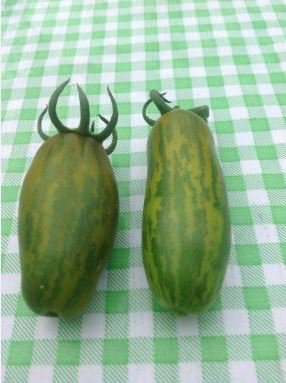 Green 'Banana' Tomato 30 PCS Seeds