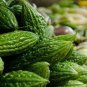 Green Bitter Gourd Seed Bitter Melon Balsam Pear Organic Vegetables 12 PCS Seeds