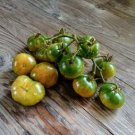 Green Cherry Tomato 200 PCS Seeds Green Cherry Tomato 200 PCS Seeds