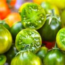 Green Cherry Tomato 'Saintess' Organic 300 PCS Seeds Green Cherry Tomato 'Saintess' Organic 300 PCS Seeds
