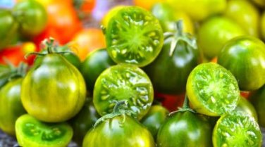 Green Cherry Tomato 'Saintess' Organic 300 PCS Seeds