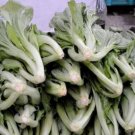 Green Chinese Vegetables 5 PCS Seeds Green Chinese Vegetables 5 PCS Seeds