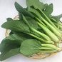 Green Chinese Vegetables 5 PCS Seeds