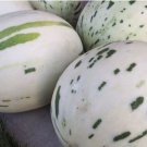 Green Muskmelon Sweet Melon 20 PCS Seeds