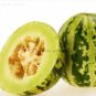 Green Muskmelon Sweet Melon 20 PCS Seeds
