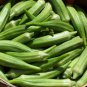 Green Okra Clemsons Spineless Red gumbo Herb Vegetable 100 PCS Seeds