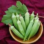 Green Okra Clemsons Spineless Red gumbo Herb Vegetable 100 PCS Seeds
