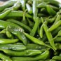 Green Pickled Bubble Hot Chili Peppers 500 PCS Seeds