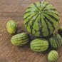 Green Skin Red Inside Very Sweet Mini Round Watermelon Juicy Organic 20 PCS Seeds