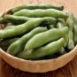 Green White Giant Broad Bean 100 PCS Seeds