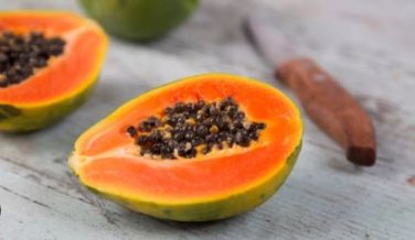 Guangxin Dark Green Skin Red Inside Papaya Fruits 6 PCS Seeds