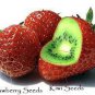 hailand Strawberry &acirc;��Kiwi&acirc;�� Seed Organic Sweet Fruit 300 PCS Seeds