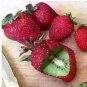 hailand Strawberry &acirc;��Kiwi&acirc;�� Seed Organic Sweet Fruit 300 PCS Seeds