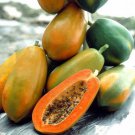 Hainan Red Papaya Green Skin Fruit 6 PCS Seeds Hainan Red Papaya Green Skin Fruit 6 PCS Seeds