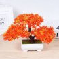 Hanging Schlumbergera Zygocactus Flores Bonsai Christmas Cactus Plantas 100 PCS Seeds