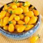 Harbin Yellow Pear Cherry Tomato 300 PCS Seeds