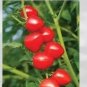 Heart-Shaped Tomatoberry Garden Tomato Hybrid 100 PCS Seeds
