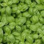 Heirloom 'Bush Fine Leaved' Basil 20 PCS Seeds