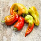 Heirloom 'Cubanelle' Pepper Green Red Orange Sweet Pepper 50 PCS Seeds Heirloom 'Cubanelle' Pepper Green Red Orange Sweet Pepper 50 PCS Seeds