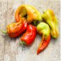 Heirloom 'Cubanelle' Pepper Green Red Orange Sweet Pepper 50 PCS Seeds