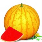 Heirloom 'Huang Pi Qiu' Yellow Skin Red Seedless Watermelon 100 PCS Seeds