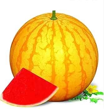 Heirloom 'Huang Pi Qiu' Yellow Skin Red Seedless Watermelon 100 PCS Seeds