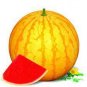 Heirloom 'Huang Pi Qiu' Yellow Skin Red Seedless Watermelon 100 PCS Seeds