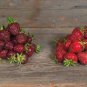 Heirloom 'Purple Wonder' Big Strawberry 100 PCS Seeds