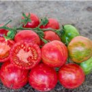 Heirloom 'Strawberry' Tomato 100 PCS Seeds