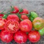 Heirloom 'Strawberry' Tomato 100 PCS Seeds