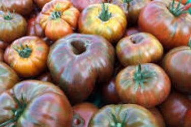 Heirloom Big Chocolate Stripes Tomato Hybrid 100 PCS Seeds