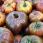Heirloom Big Chocolate Stripes Tomato Hybrid 100 PCS Seeds
