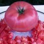Heirloom Big Pink Dwarf Tomato Organic 300 PCS Seeds