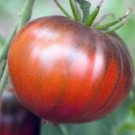 Heirloom Black Tomato Middle-sized Fruit 25 PCS Seeds Heirloom Black Tomato Middle-sized Fruit 25 PCS Seeds