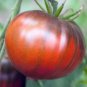 Heirloom Black Tomato Middle-sized Fruit 25 PCS Seeds