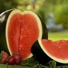 Heirloom Black Skin Red Elliptical Seedless Watermelon Fruits 40 pcs Seeds Heirloom Black Skin Red Elliptical Seedless Watermelon Fruits 40 pcs Seeds
