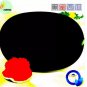 Heirloom Black Skin Red Elliptical Seedless Watermelon Fruits 40 pcs Seeds