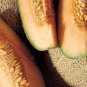 Heirloom Blenheim Orange Melon 10 pcs Seeds