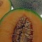 Heirloom Blenheim Orange Melon 10 pcs Seeds