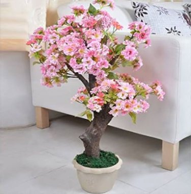 Heirloom Bonsai Pink Peach Flower 2 PCS Seeds